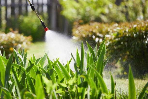 24/7 Emergency Wasp Removal experts in Dupo, IL