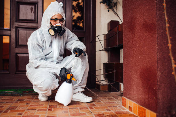 Reliable Wasp Removal contractor in Dupo, IL by Show Me Pest Control